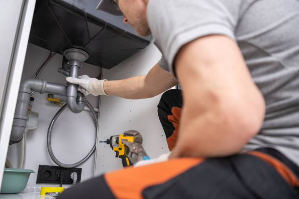 Best Water Softener Installation  in Bayou Lourse, LA